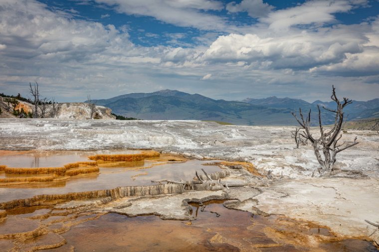 036 Yellowstone NP, mammoth hot springs.jpg